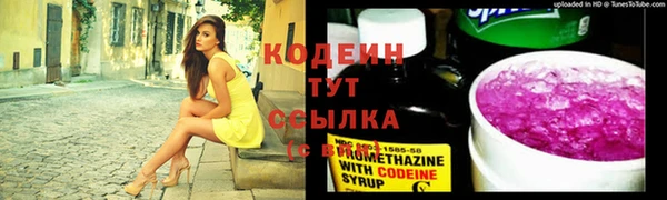 мет Надым
