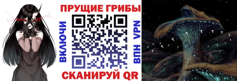 продажа наркотиков  Нальчик  Галлюциногенные грибы мицелий 