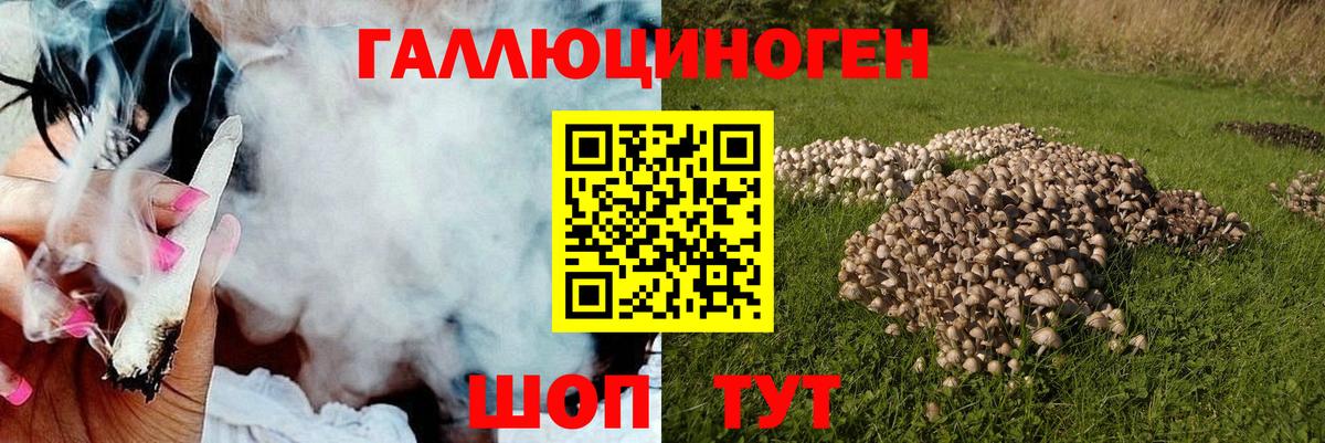 Псилоцибиновые грибы MAGIC MUSHROOMS  Вход с VPN  Нальчик 