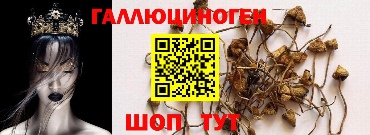 Гашиш  Марки  Меф  Ешки  ЛЁД  CBD масло  Кодеин  Нальчик  Кокаин  Вход с VPN  Хэш  Канабис  Alpha-PVP  Конопля 